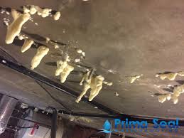 Ceiling Waterproofing